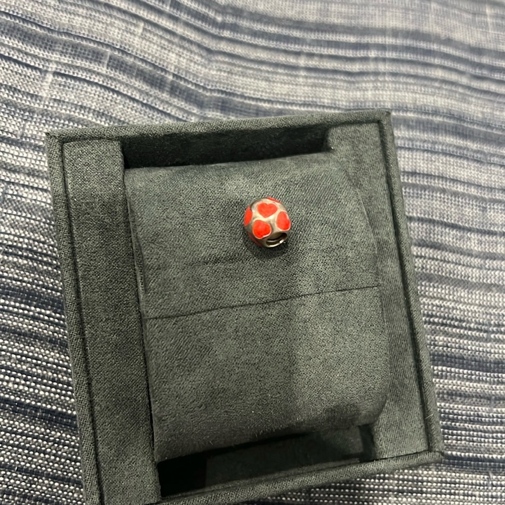 pandora charm